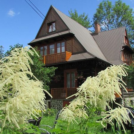 Willa Dewajtis Bed & Breakfast Zakopane Luaran gambar