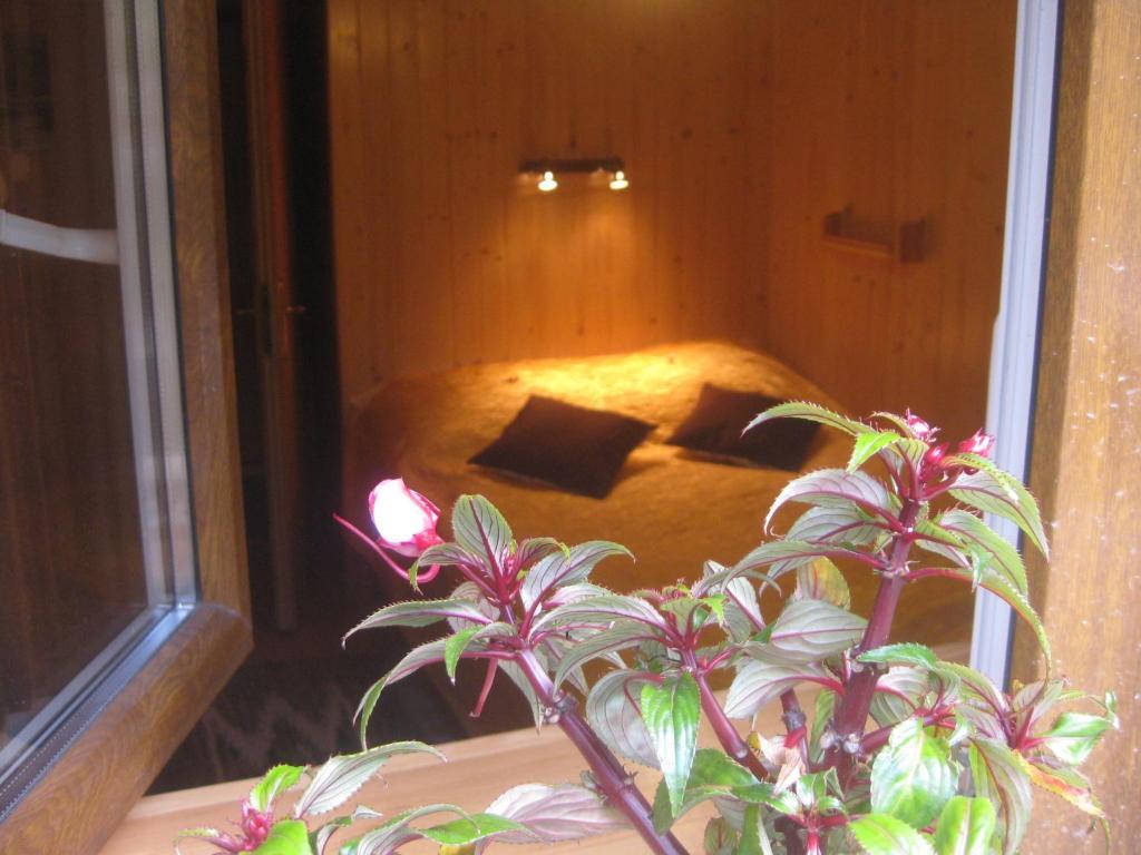 Willa Dewajtis Bed & Breakfast Zakopane Bilik gambar