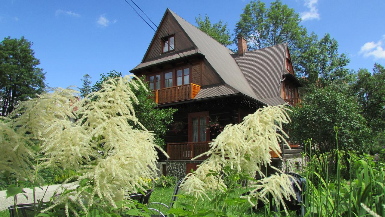 Willa Dewajtis Bed & Breakfast Zakopane Luaran gambar